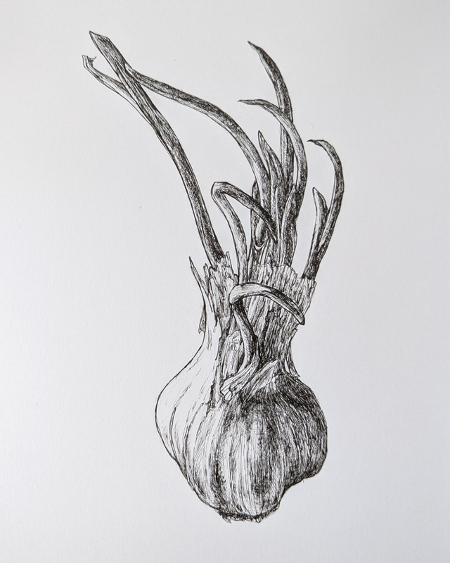 Upcoming Workshop at Bismarck Art & Galleries