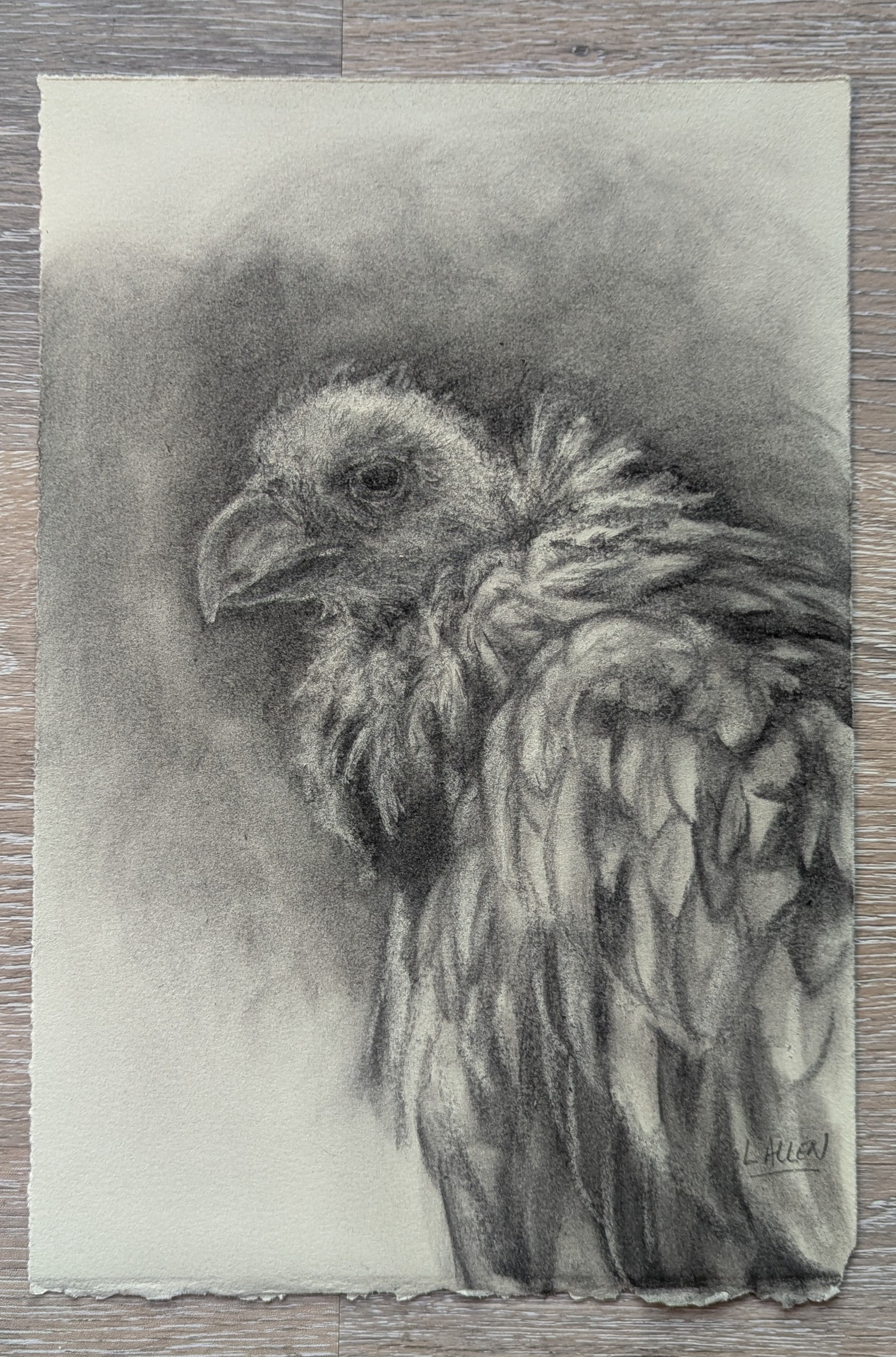 Upcoming Show at BAGA